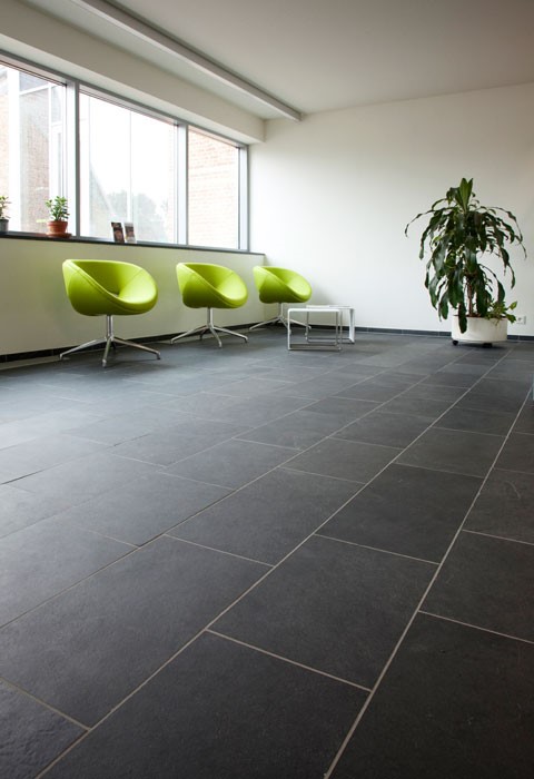 Red Lusorochas black slate tiles